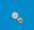 Photoroom-20241001_214137.png