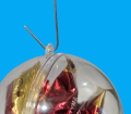 Photoroom-20241001_214444.png